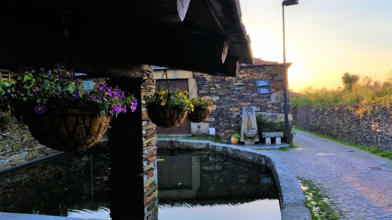 Casa Valxisto Guest House Penafiel Bagian luar foto